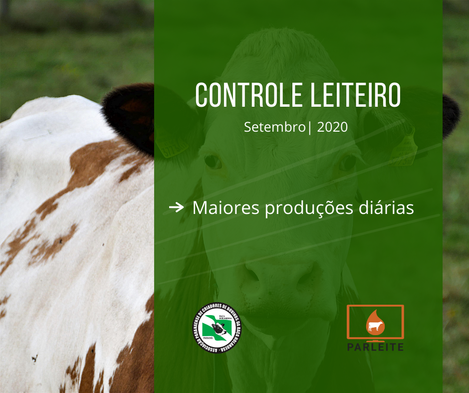 Melhores produções diárias por rebanho | Setembro de 2020