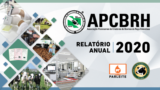 Relatório Anual da APCBRH 2020