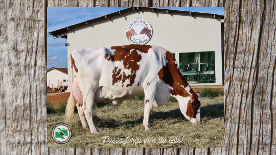 Bronkhorst Royal 261 Anahiem Red (EX94)
