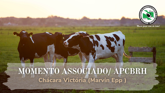 Momento Associado I 4 - Marvin Epp