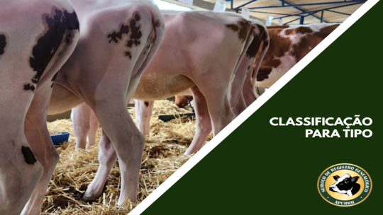 Classificação para Tipo ou Análise da Conformação